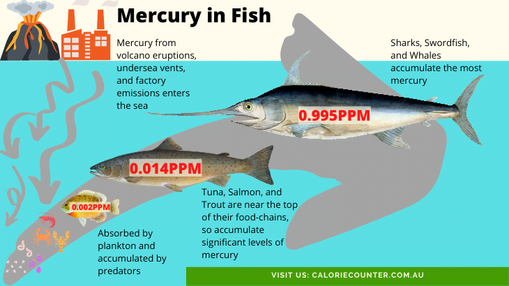 Mercury-in-Fish · calcount